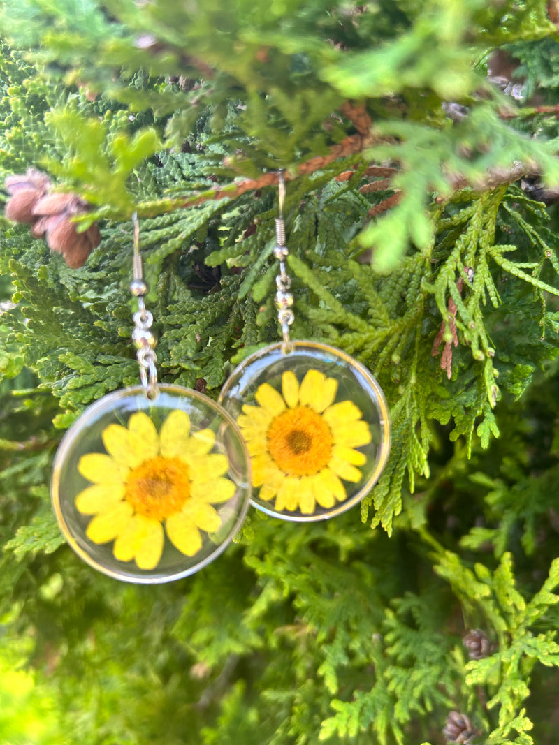 Daisy Delight Earring